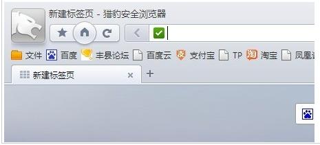 猎豹浏览器历史记录在什么地方查看