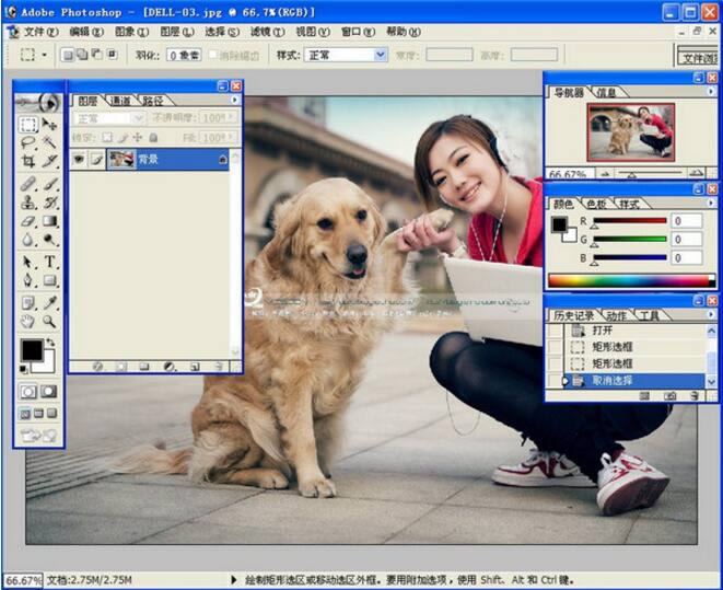 wifiʦٷ汾2019